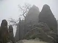 Formations rocheuses le long de la Needles Highway.