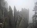 Formations rocheuses le long de la Needles Highway.