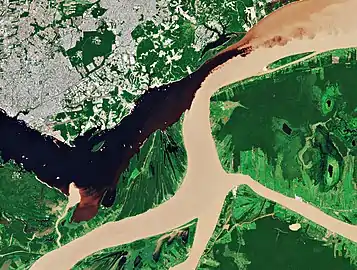Vue satellitaire (Copernicus 7/02/2018): largeur un peu plus grande du Rio Negro mais les eaux du Solimões (en bas) finissent par "prendre le dessus".