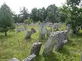 Ancien cimetière juif de la ville.