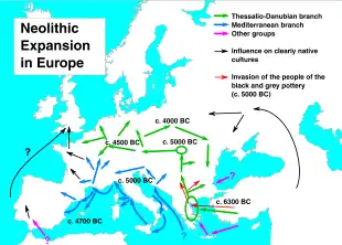 Expansion de la branche méditerranéenne au néolithique (en bleu) et influence sur les cultures indigènes (en noir).