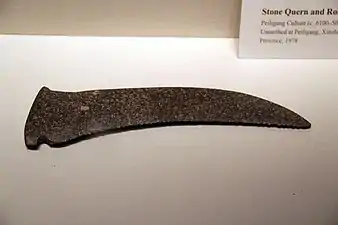 Faucille dentée de pierre polie et retaillée pouvant se fixer sur un manche. Culture de Peiligang, Jiaxian, Henan. Musée national de Chine, Pékin