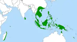 Map showing Nepenthes distribution around the Indian Ocean