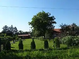 Nepričava