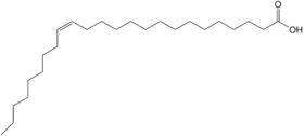 Image illustrative de l’article Acide nervonique