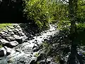 La Neste du Moudang au Pont du Moudang, vue vers l'amont.