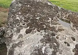 Dolmen de la Couvre-Clair.