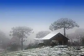 Neige à Caxias do Sul en hiver.