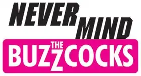 Image illustrative de l’article Never Mind the Buzzcocks