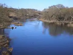 Formation d'un méandre : la berge de gauche régresse naturellement sous l'action érosive du courant, alors que la berge de droite avance, le courant moins rapide y déposant des sédiments fixés par les arbres.