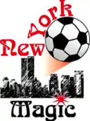 Logo du Magic de New York