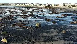 Déchets de charbon, baie de Newbiggin (Royaume-Uni).