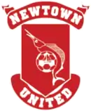 Logo du Newtown United FC
