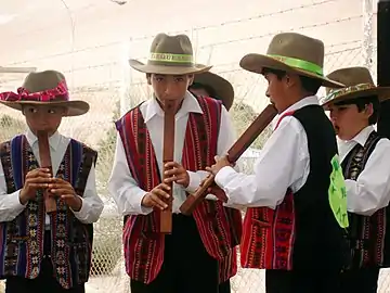 Elèves du Collège "Padre Luis Gallardo" ("Nayra Inti"), interprétant avec leurs tarkas une tarkeada (dirigée par le professeur Pablo Vásquez, 2006).