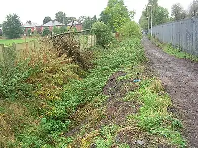 Une photo du Nico Ditch vers Levenshulme.