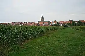 Dans la campagne de Neuve-Église.