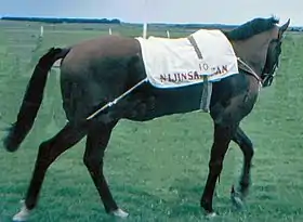 Nijinsky, né au Canada et entraîné en Irlande.