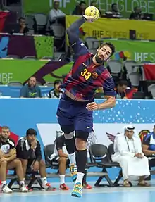 Nikola Karabatic, en 2014