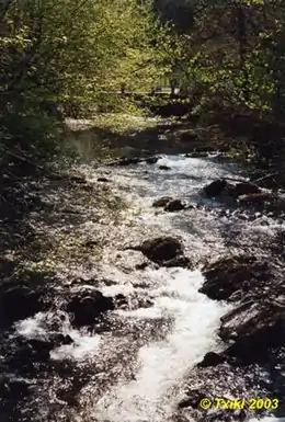 La Nivelle à Dantxariena (Navarre et Labourd).