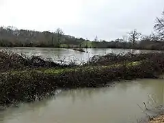 La Nizonne en crue en aval du moulin de Puyloubard, entre Beaussac et Puyrenier, commune de Mareuil en Périgord.