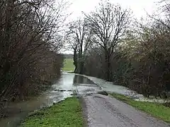 La Nizonne en crue passe par dessus la route menant de Puyloubard à Nanchères, lieu-dit la Papetterie, en limite des anciennes communes de Beaussac et Puyrenier.