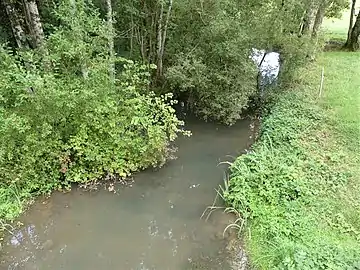 La Nizonne au pont de la RD 99, en limite des Graulges (vue vers l'amont).