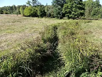 La branche sud de la Nizonne au pont de la Rousselière, en limite avec Mareuil en Périgord.