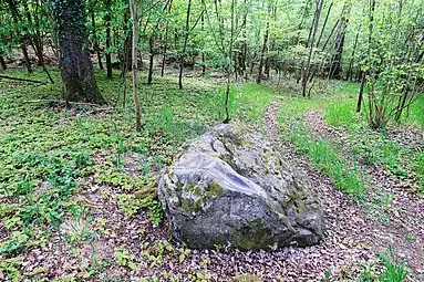 Le polissoir des Fainéants dans son environnement.