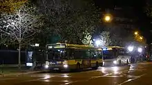 Deux bus de nuit à leur terminus de Châtelet
