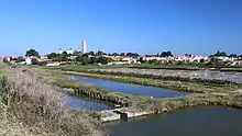 Marais salants sur l'île de Noirmoutier