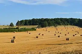 La Corvée du Village.