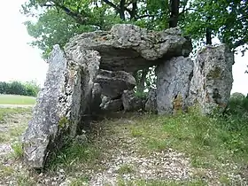 Allée couverte du Blanc