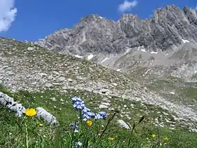 Vue du flanc au sud-ouest de la Noppenspitze.