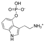 Image illustrative de l’article Norbaéocystine