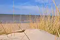 Plage de Bray-Dunes dans le Nord