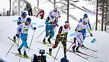 Groupe de skieurs de fonds de profils, en style classique.