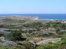 Végétation sur l'île de Nordkoster