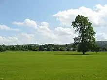 Vaste prairie où il y a un seul arbre.