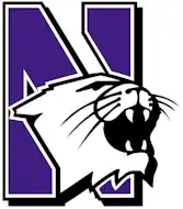 Description de l'image Northwesternwildcats.jpg.