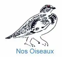 Image illustrative de l’article Nos Oiseaux