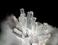Groupe de cristaux de noséane (Vue : 3 mm) -