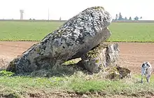 Dolmen du Palet de Gargantua.