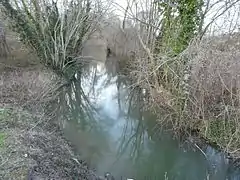 La Nouère en amont du pont de la route nationale 141 à Asnières-sur-Nouère.