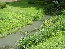 Photographie en couleurs d'un petit ruisseau coulant entre deux berges herbeuses.