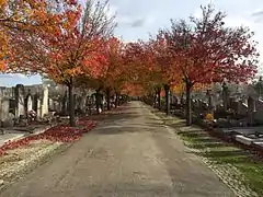 Une allée du nouveau cimetière.