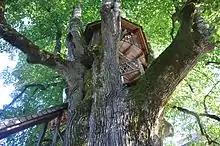 Maison de bois dans un arbre.