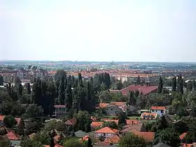 Novo naselje (Novi Sad)