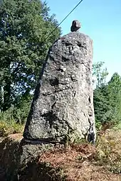 Menhir de Landes-Ros