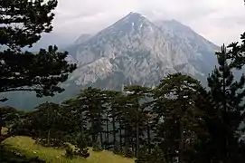 Le mont Volujak.