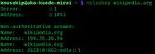 Description de l'image Nslookup screenshot.png.